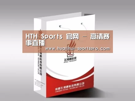 项目名称十三
